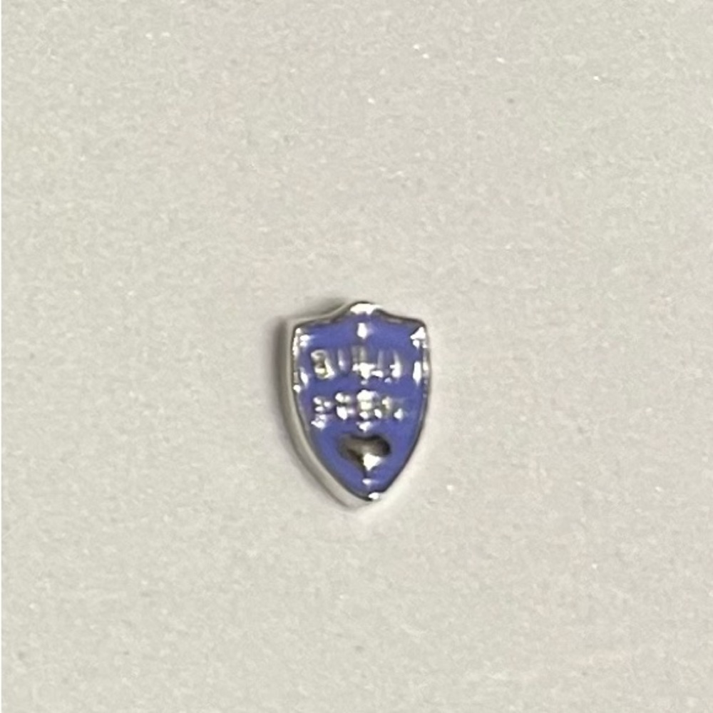 Origami Owl Awareness Bully Proof Shield Charm
